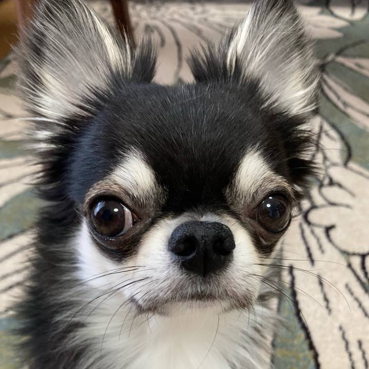 4f2f698b e873 4bb3 9dad bdfda9d62539 1621032102306