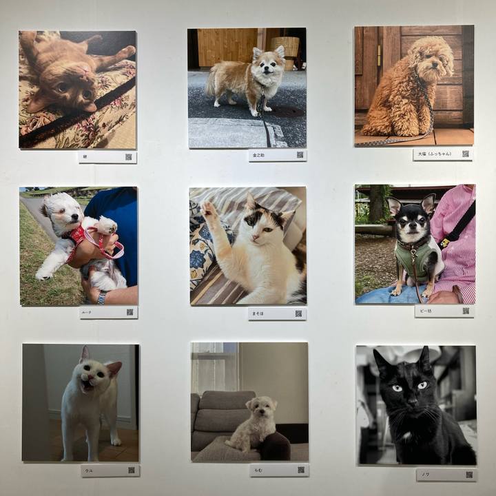 4f2f7bfc 4ce2 4b62 8c7e bdf05274f21f 1762158915343