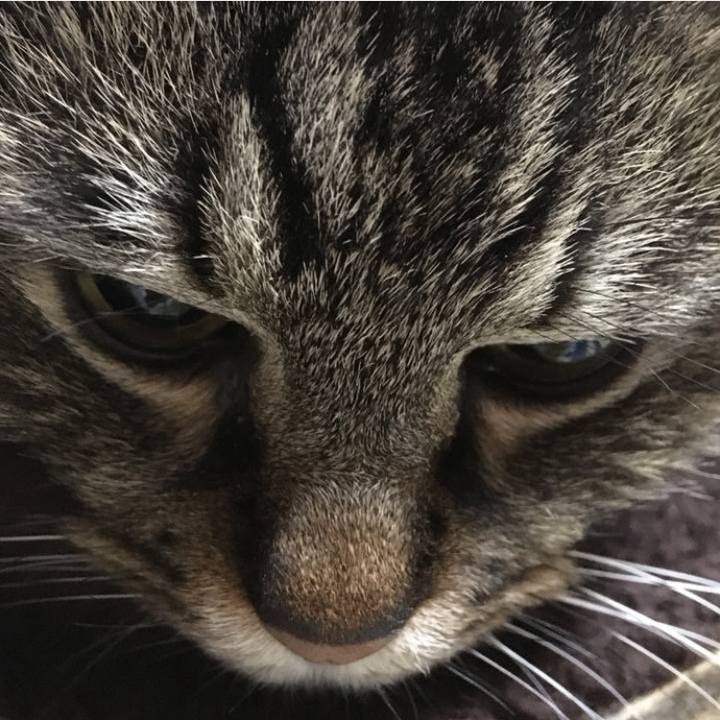 4f2f80a7 39e9 42ea ac0d cc2268f07c83 1760160007732