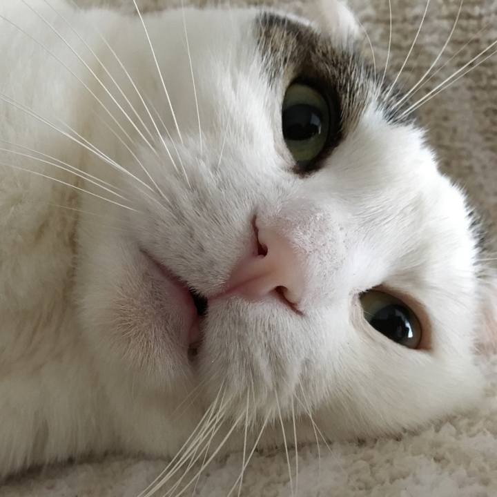 4f2f92ed a960 4b7e 95a8 d0cd94624685 1509753041384