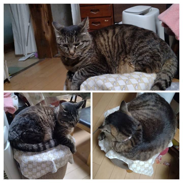 4f2fd4f6 da3d 44fb 93d7 ffd01f5a79e4 1718625239615