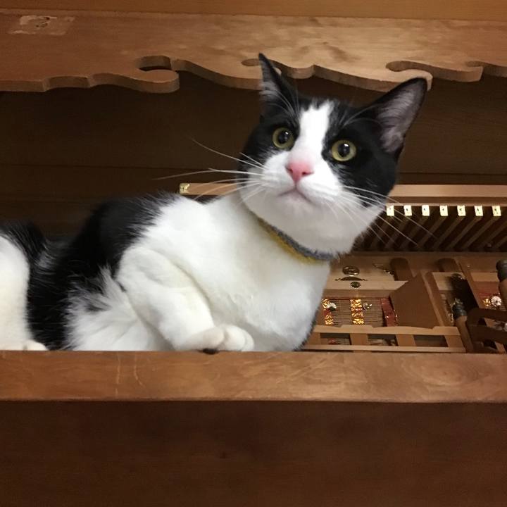 4f2ff1ab 106f 4373 bafb bb895e0c8a49 1650188203171