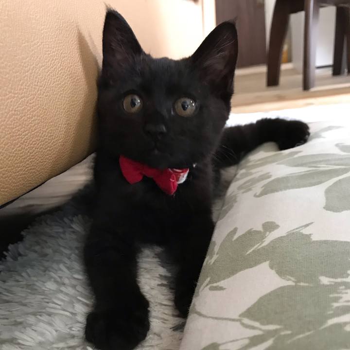 4f2ff6dc 9ffa 49a6 9f9b 190f80085ccb 1661306209789