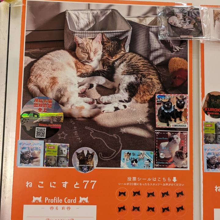 4f300ad3 3e41 4877 93a6 92dc3c4145df 1716245400897