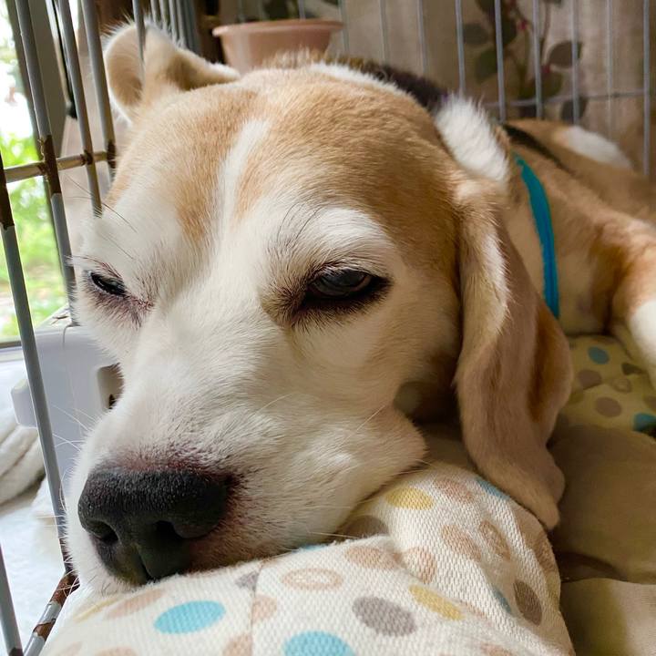 4f30127c 1171 46a0 a5d3 3d47481ee5fe 1600574419698