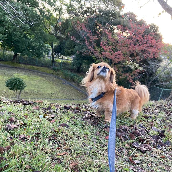 4f301c8d 2ed4 45e7 8bf4 904bd19adc8c 1572905434756