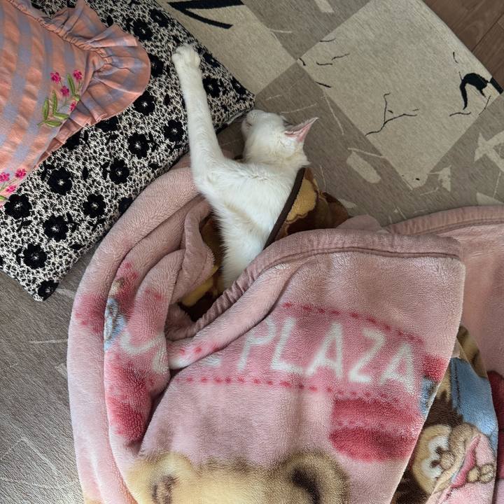 4f304749 888a 4c91 adf6 f5ecc2ac5e98 1765858784859