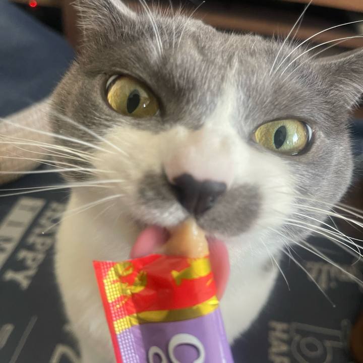 4f3051ca b68b 432d b0e5 fa0f87661369 1707718946526