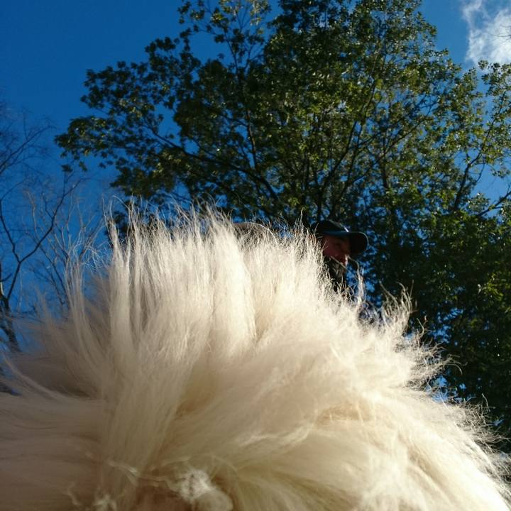 4f3067e4 3185 43b3 83f9 ba3387d521b3 1580562961769