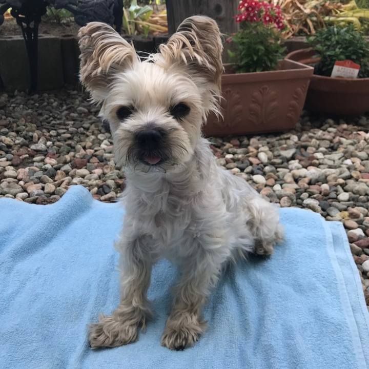 4f306c11 3dcb 4760 818e 859efce1bd7e 1562925962916