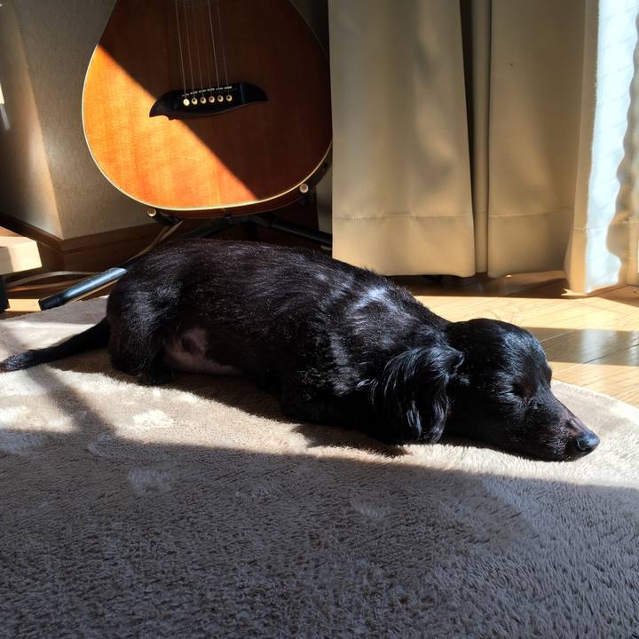 4f306c6e 917e 4594 a7d9 880ee67e6352 1554244249491