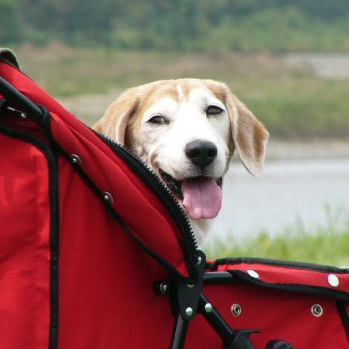 4f30cba1 9e7c 489a bb7e f54008459329 1731115363593