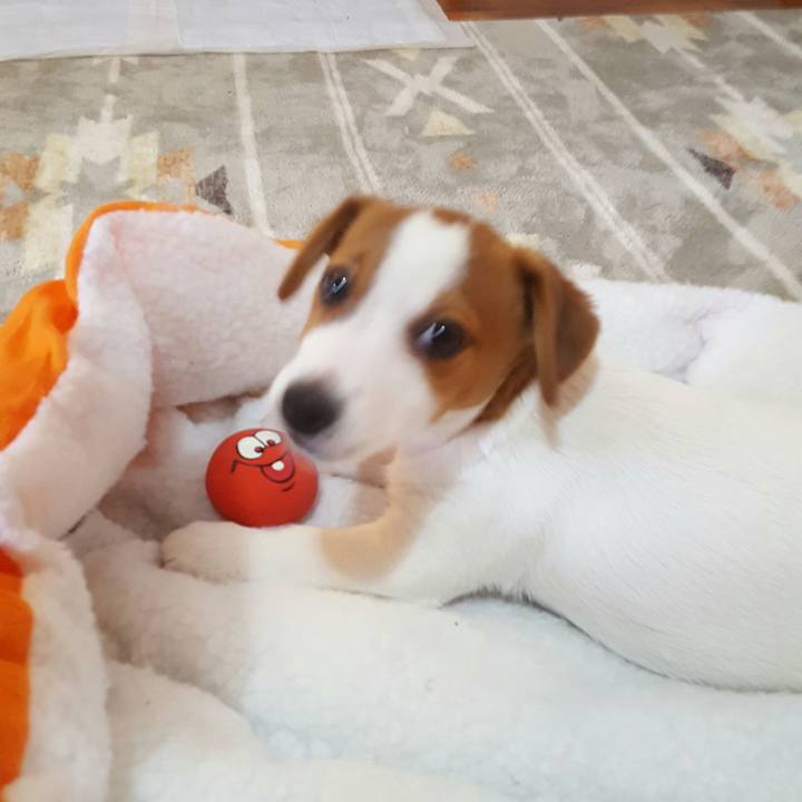 4f30d2bf 89ae 4c1b b733 d17a88da568f 1550366653152