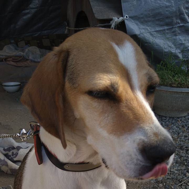 4f30ecfa 231f 400c 99b5 397569e23d90 1645424587686