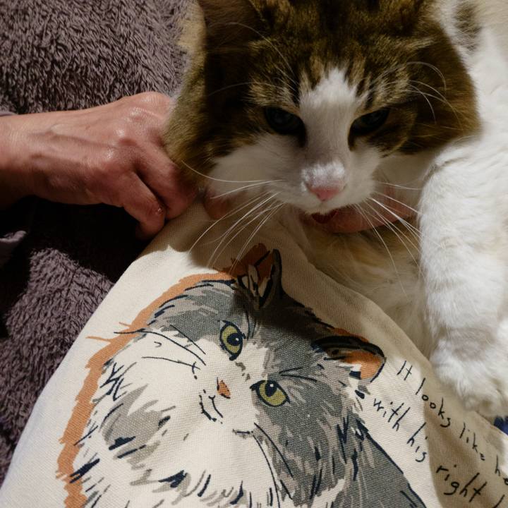 4f30f0c1 a363 4b51 a735 850e0f26563c 1734347145220