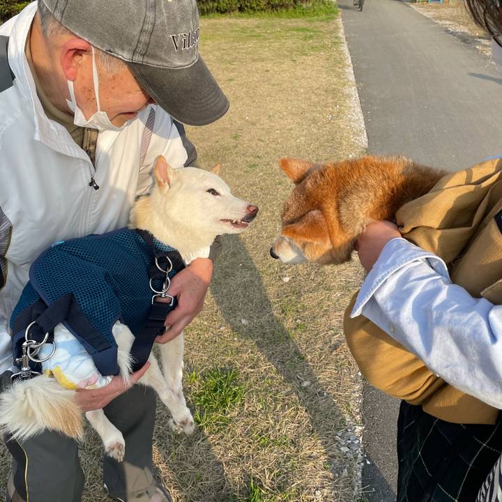 4f312b8d 3603 4bfa b0ac f483360bdd90 1678713612077