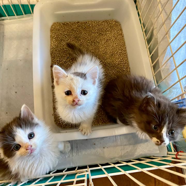 4f312c4a 3a83 48b6 81d6 861da52232f8 1684401216595