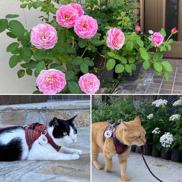 4f31523e 8b0a 4d57 b783 317f569324d3 1662796475112