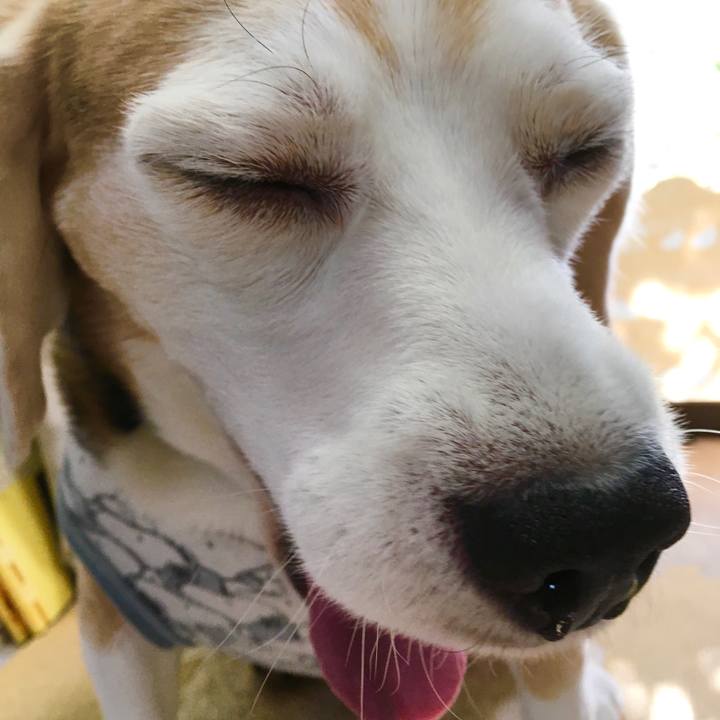 4f31a1d0 86e7 4f6e b9d4 85537ce451ac 1573186893941