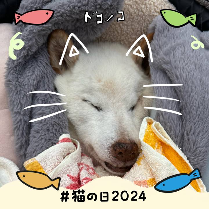 4f31aa20 5415 4923 9407 e4768b3b3e35 1708548302904