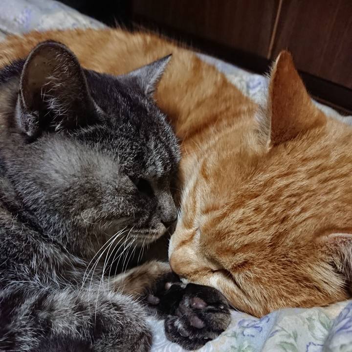 4f31ae53 309f 4810 adb0 418fbbf976c0 1579174323094