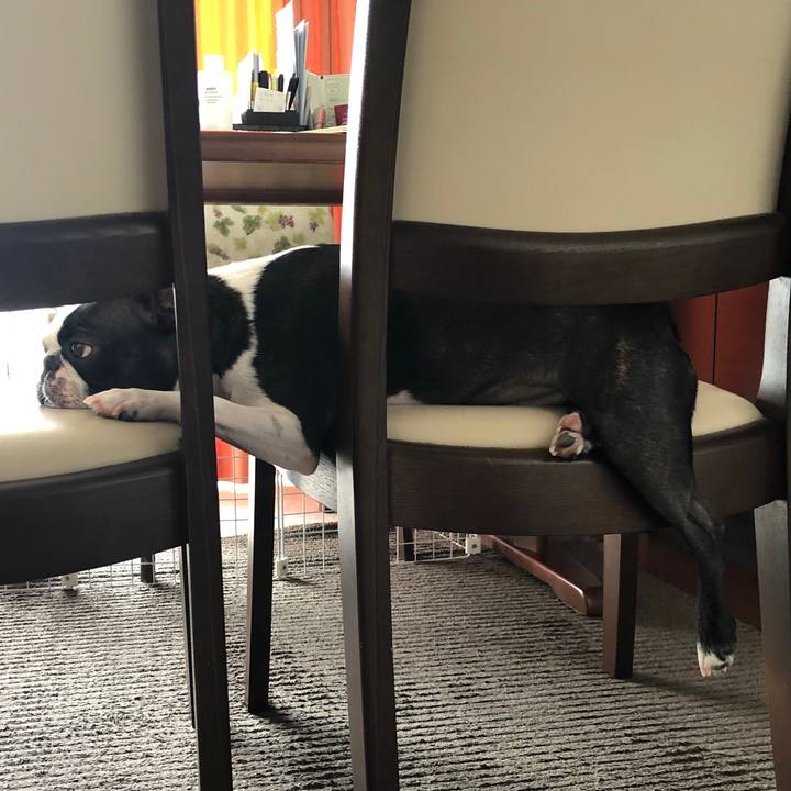 4f31b6f6 aa0a 4485 8ad0 31822b2f6a69 1566393673355