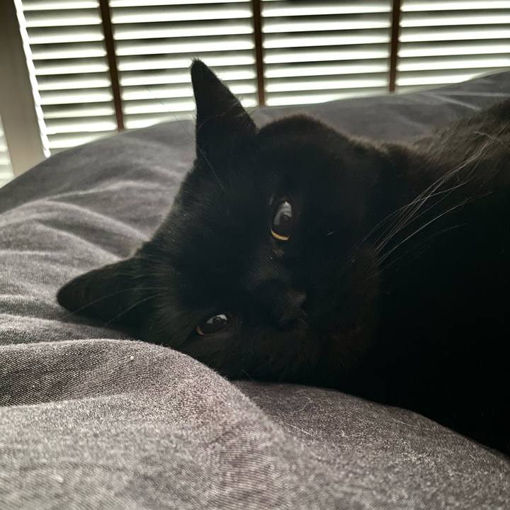 4f31c199 1f8b 4274 bdf5 4186d8f456b0 1679346638655