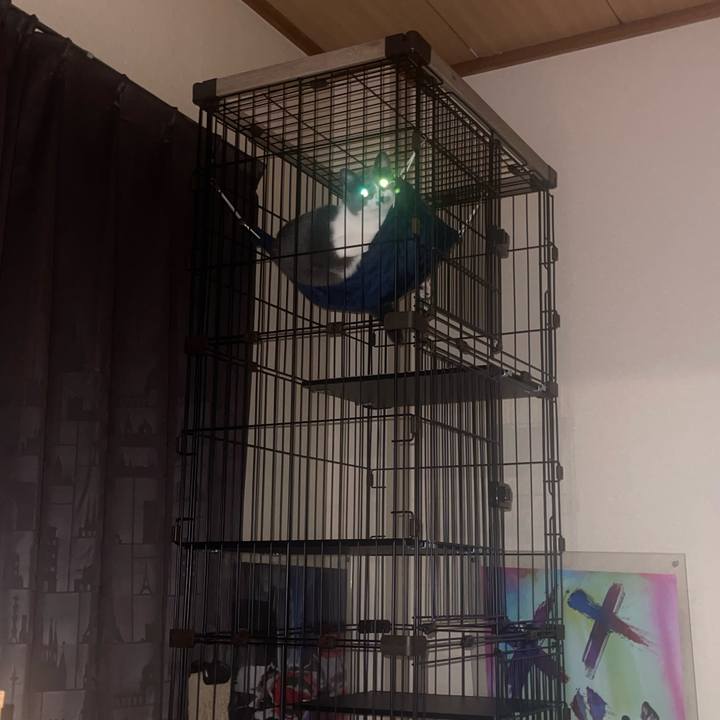 4f31fc1e 5fd2 487d 9fa4 9fc69af5fd7c 1686568855720