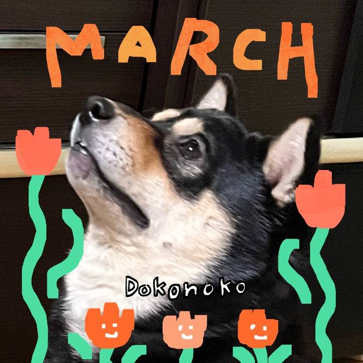 4f3205f5 0d61 4896 bb90 b9f3aab42bc8 1741170959839