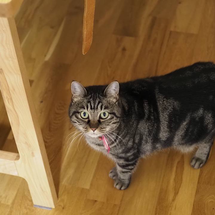 4f321b25 51d5 49d0 b711 300483705bfe 1642239905634