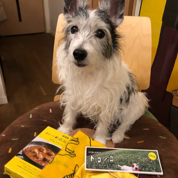 4f322042 8173 4ade af3f fb36c16bc847 1555845788771