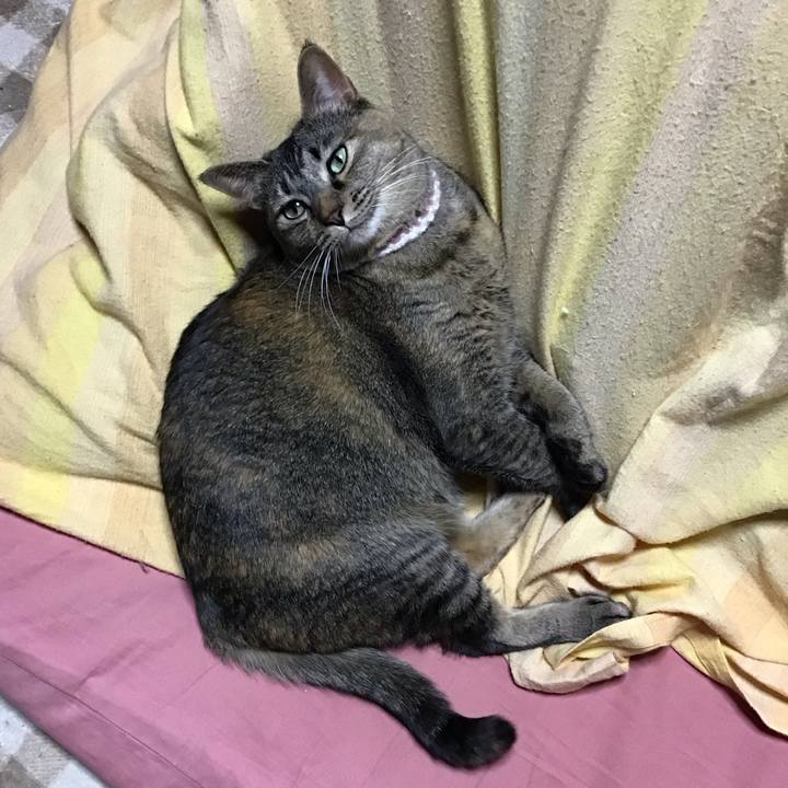 4f32527b 8afa 4be7 b8aa 080e3925dc44 1675001492679