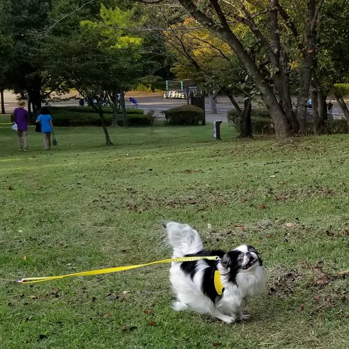 4f325ac2 b115 482e 8866 00e3e691fd8c 1507715275993