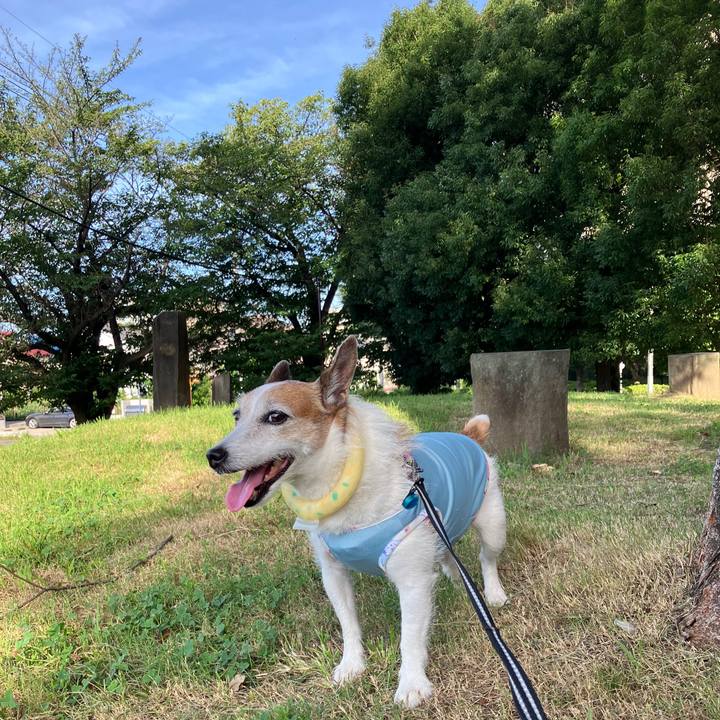 4f32715d bfd4 40c7 b5e5 dbac44b4622e 1722124022161