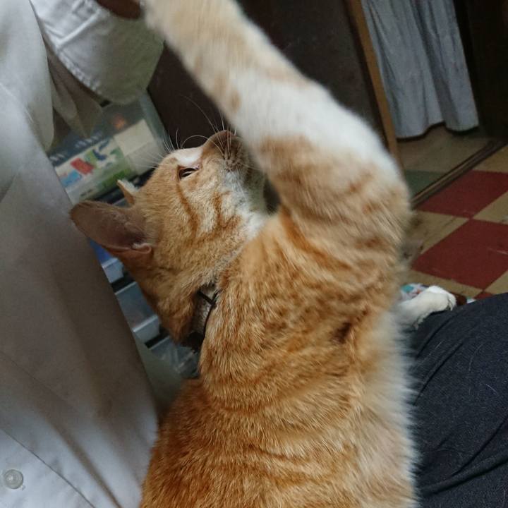 4f32a51f 4825 4f37 97f3 e2a94dc60eee 1589189608363