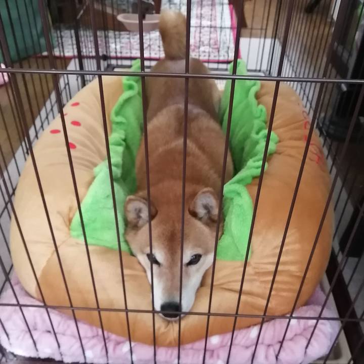 4f32b202 0e87 45b4 88f1 f7cf3bd39635 1677892881160