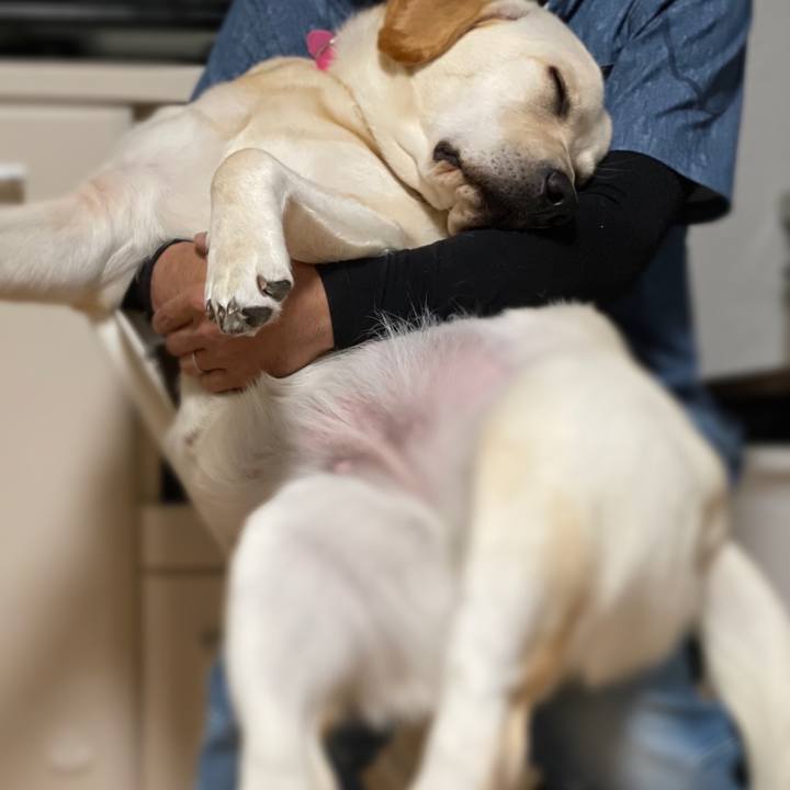 4f332ebc 3baa 4d69 80af af71a2295944 1634646611818