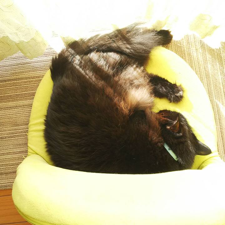 4f33accb fae9 4f80 9297 62b67afe3ef8 1543192420911