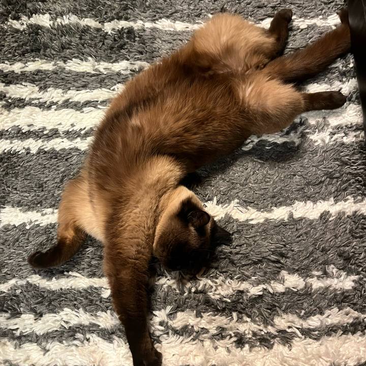 4f33af69 fb2c 43c3 a131 8bc5069904de 1684236955116