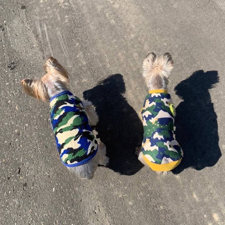 4f33b23e e270 46c0 bd56 ea7f731220b4 1679394057260