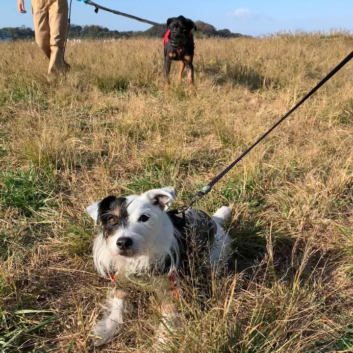 4f33bd07 ac00 4cb4 b2cf cde4d928251d 1700786404437