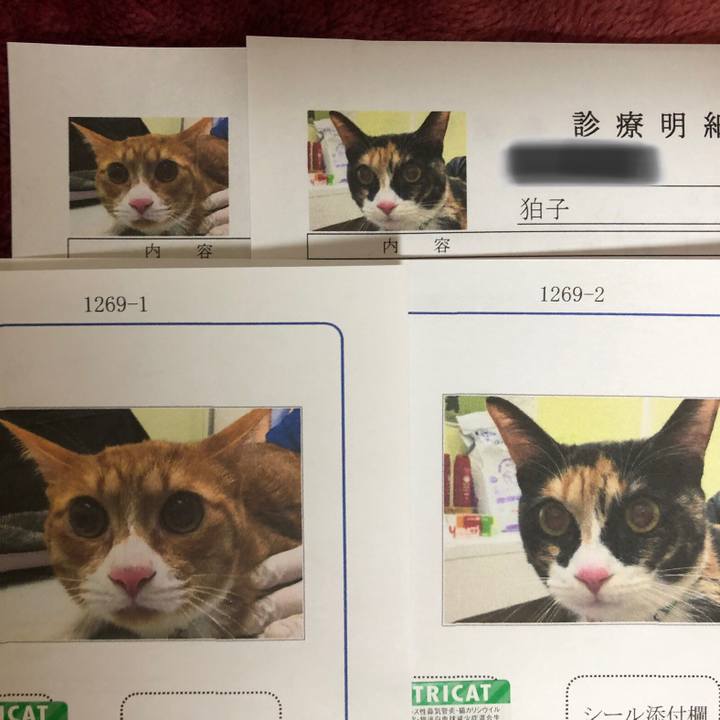 4f33dcae ca97 471e 84bb 139ce2b7abea 1575632702756