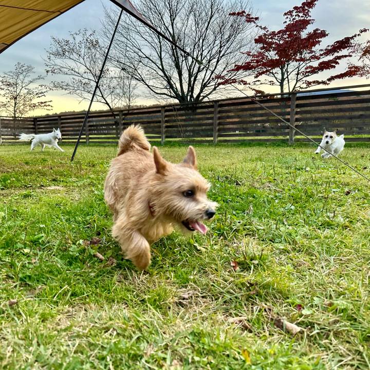 4f33eb95 16fc 4ee4 928f 25b67184cd05 1730694958603