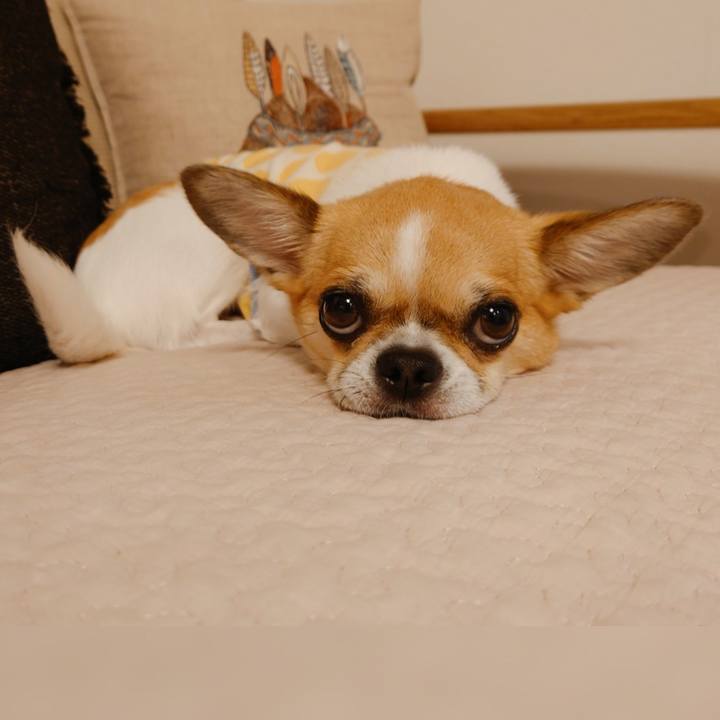 4f3403f6 aa74 4dd6 bc0b ddccf82b8ae1 1630400593335