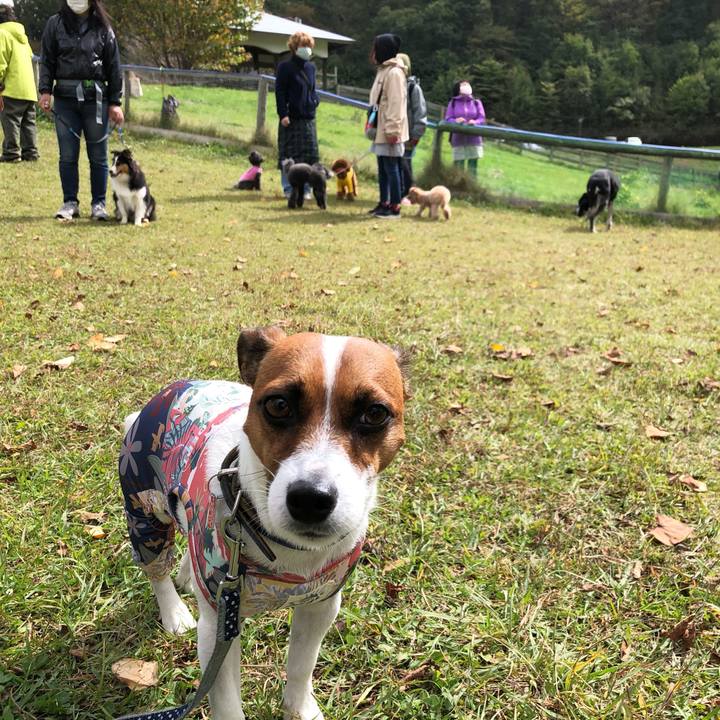 4f340a26 a3ca 444d b51e 058ac0c2675f 1601962480494