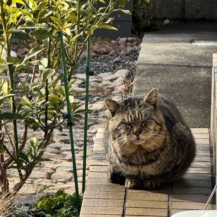 4f341ac1 7a2d 4b93 bccf c0342632968d 1738991262917