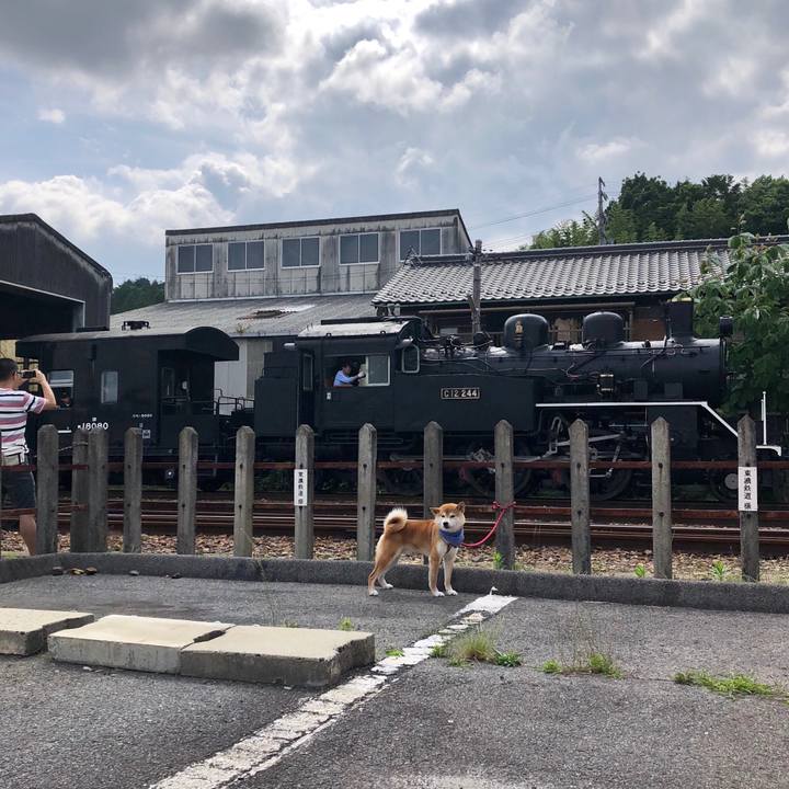 4f341c9e a4be 4238 a971 197ca7f5b430 1529217431611