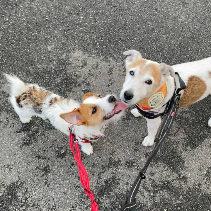 4f34229a 1d95 440c a324 04190adb8ae3 1628467199575