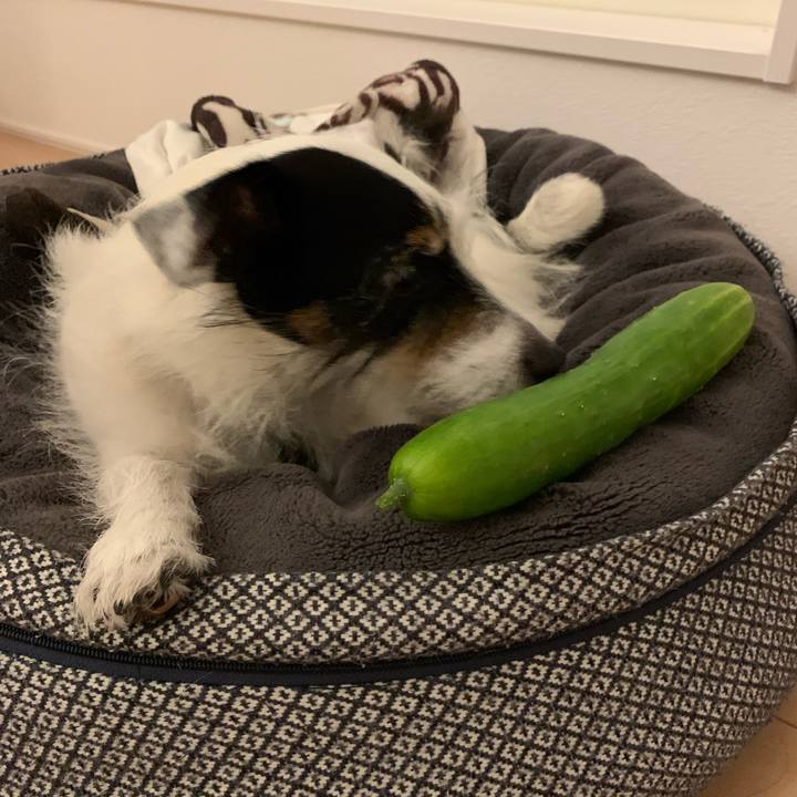 4f342825 e96b 46cb 8e42 89546a4fe50d 1719840233424