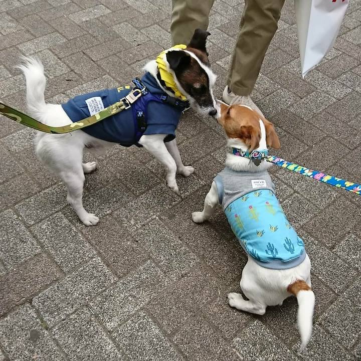 4f342ccd 96f6 4629 8661 e0ea9188bde2 1523798968166